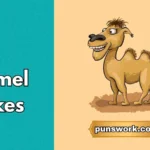 Camel Jokes