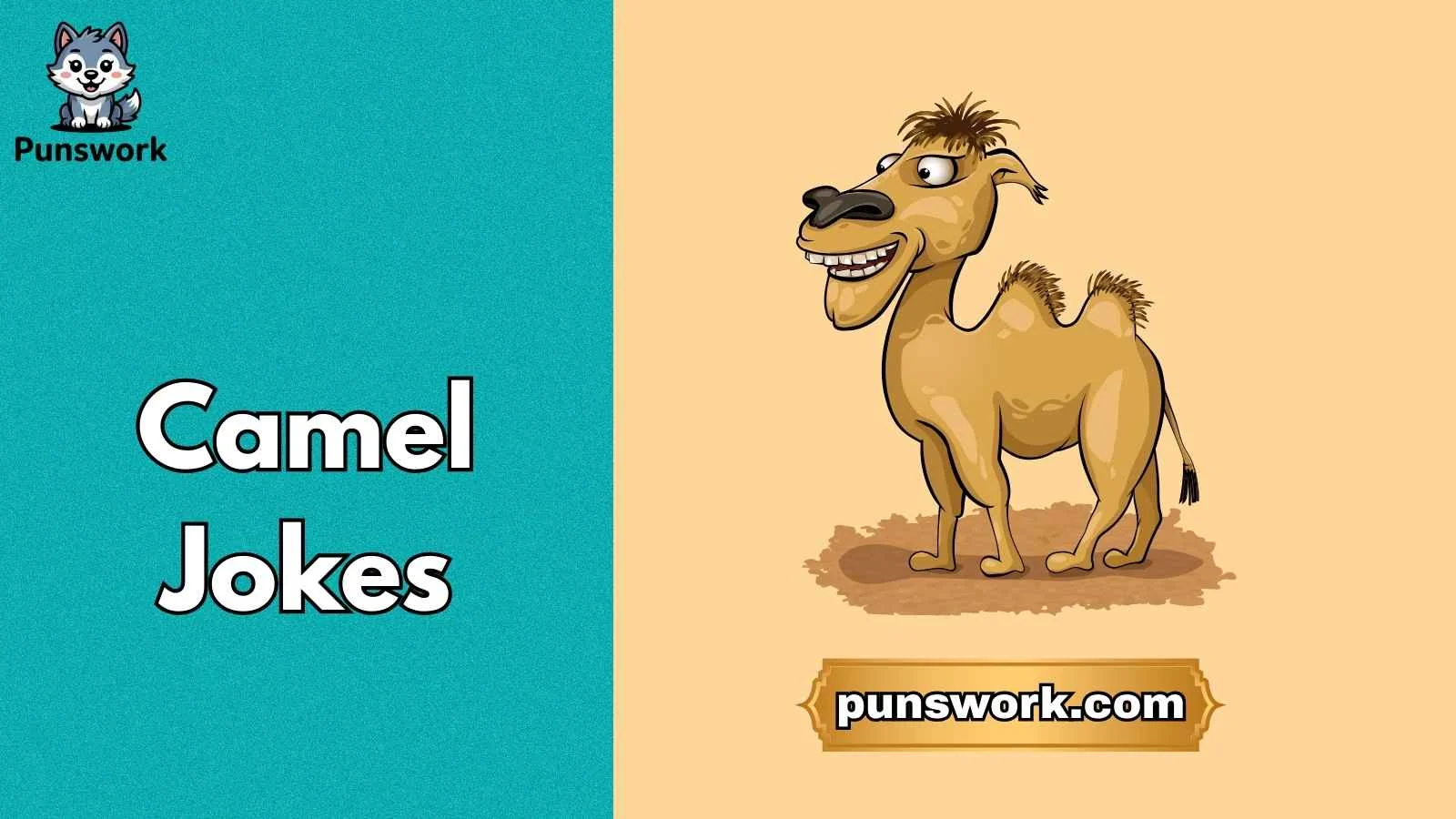 Camel Jokes
