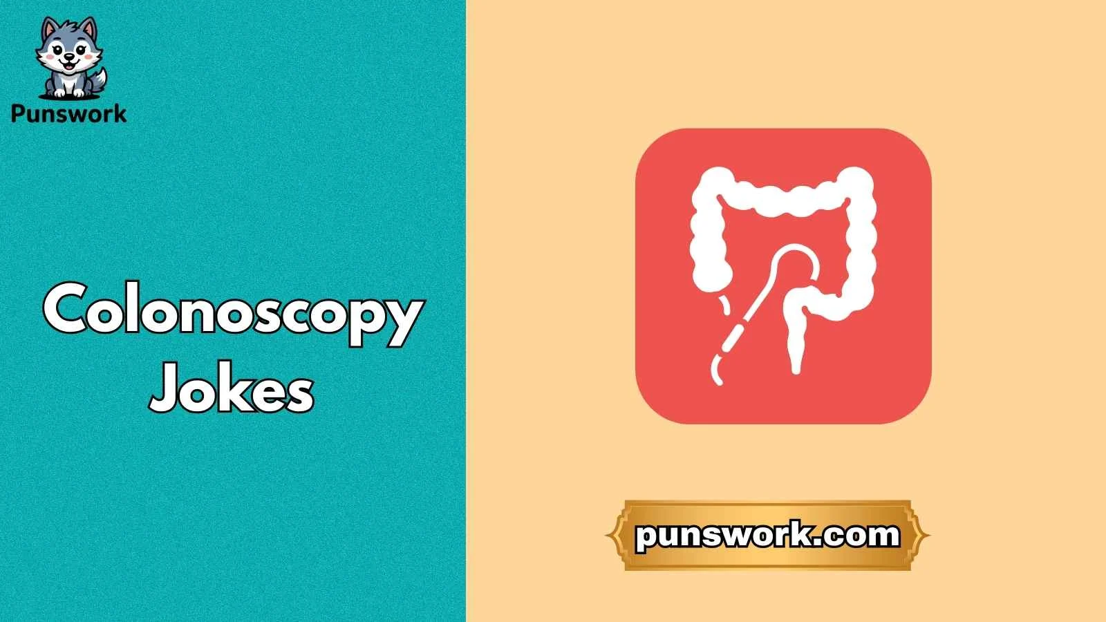 Colonoscopy Jokes