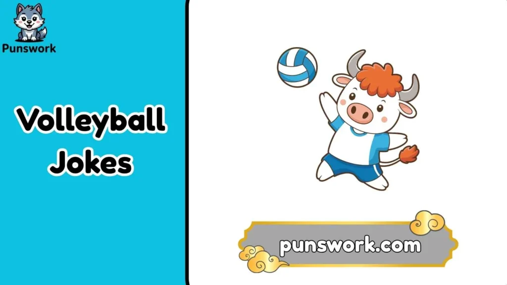 Funny volleyball jokes