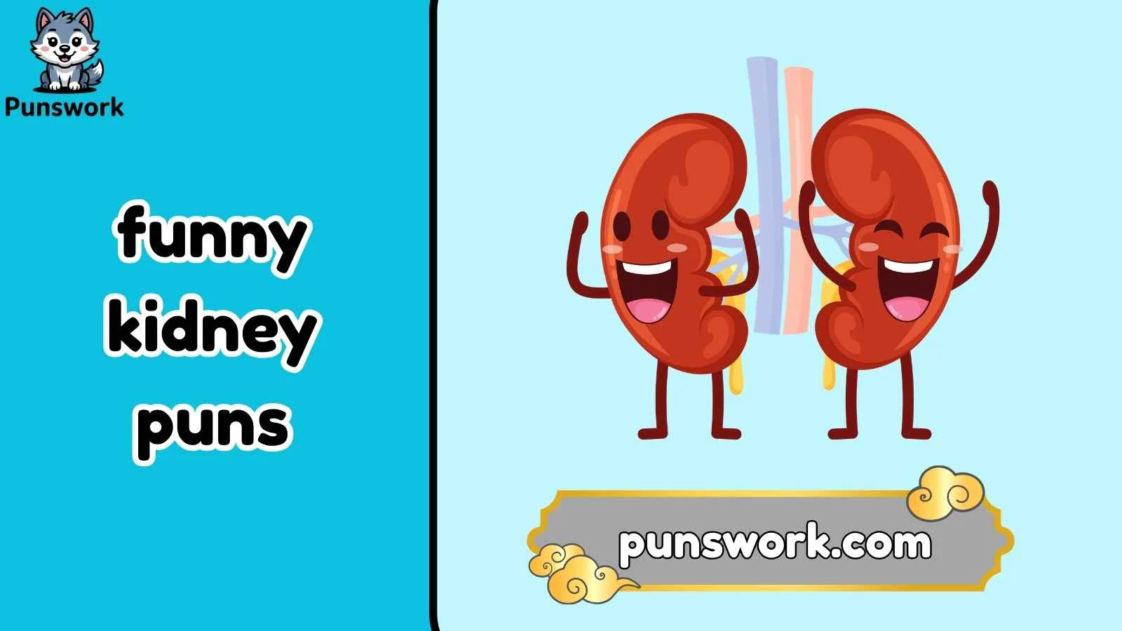 funny kidney puns