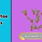 mistletoe puns