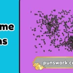 sesame puns